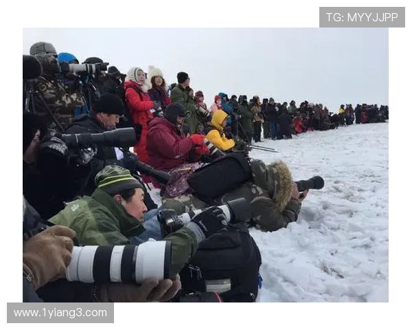 大乐透17011期开奖结果揭晓:幸运号码震撼出炉